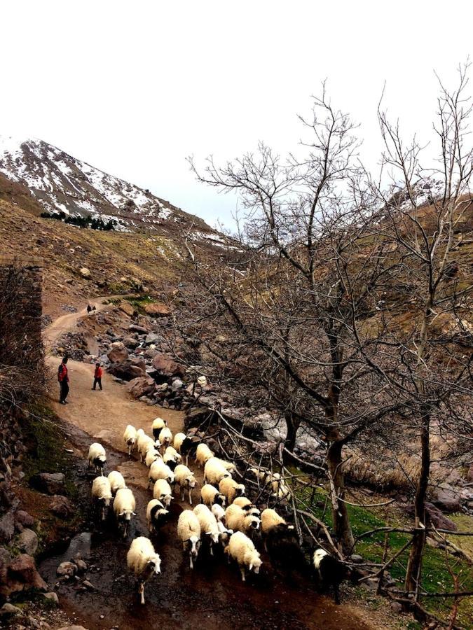Gite Entre Les Vallees Tacheddirt Экстерьер фото